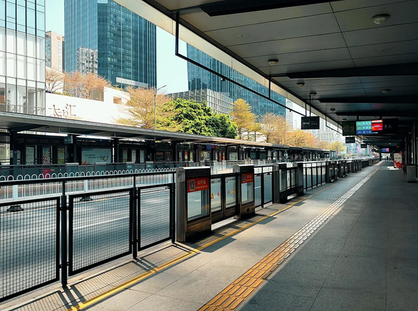 辩证看待 BRT 现状，改革调整谋发展